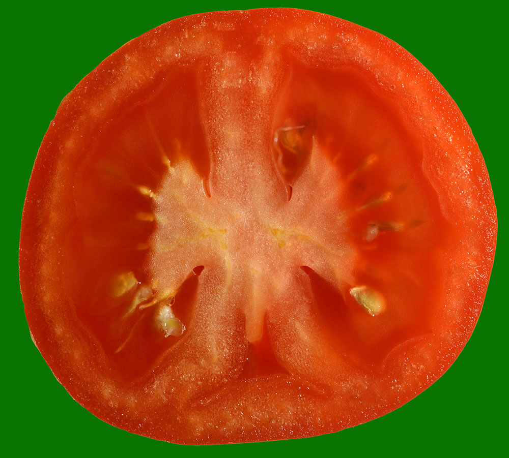 Preview tomate gruen.jpg